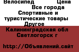 Велосипед Viva A1 › Цена ­ 12 300 - Все города Спортивные и туристические товары » Другое   . Калининградская обл.,Светлогорск г.